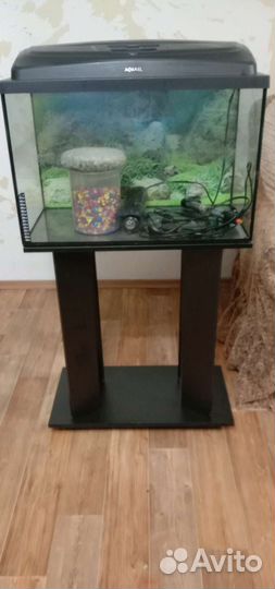 Аквариум