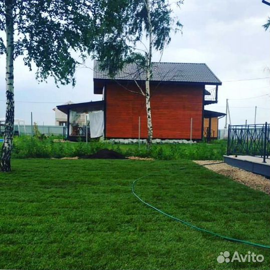 Рулонный газон