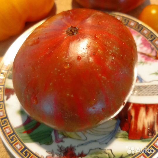 Семена коллекционных сортов томатов