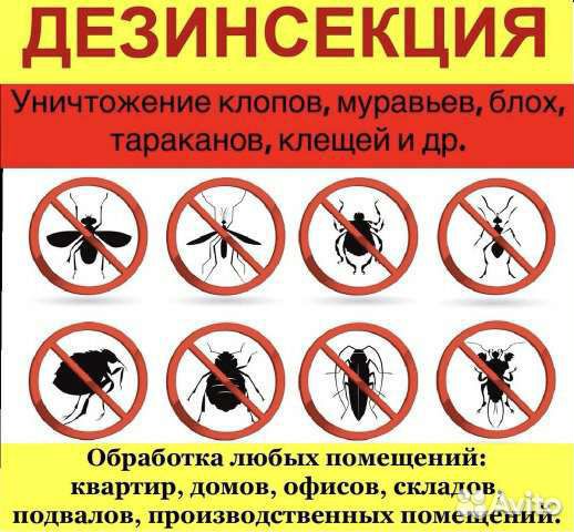 Уничтожение насекомых,плесени, запахов