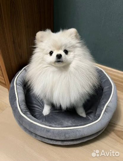 Лежанки для собак и кошек,новые