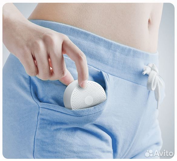 Xiaomi Mi Bluetooth Speaker (Portable Edition)