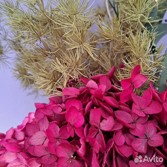 Комнатные растения цветы