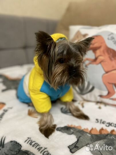 Зимняя куртка для собак размер s
