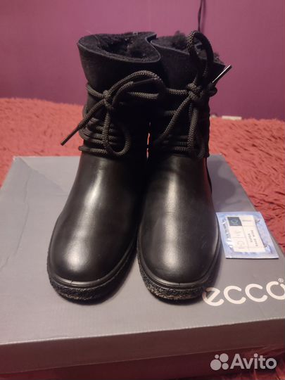 Сапоги ecco