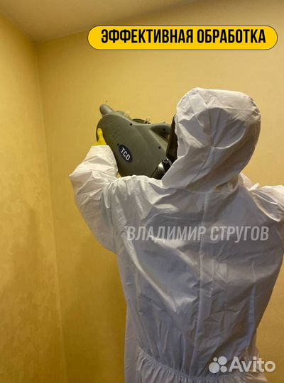 Уничтожение тараканов, клопов, плесени/Дезинфекция