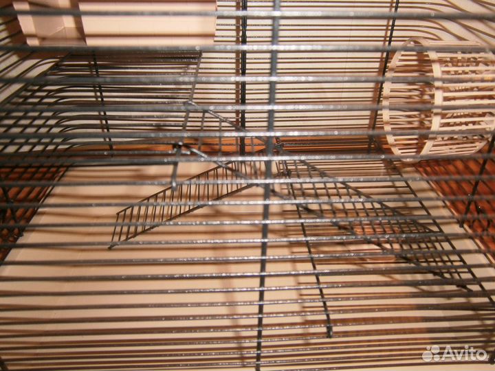 Новые клетки.шары И др.для хомяков.крысы И др