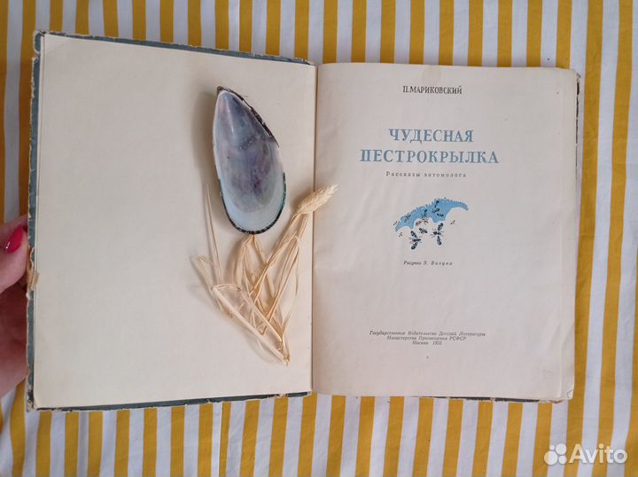 Книга детская СССР. Чудесная пестрокрылка 1955г