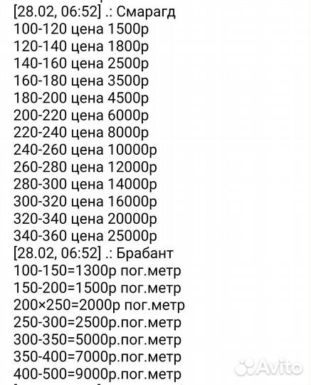 Туя смарагд саженцы