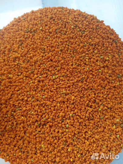 Пыльца пчелиная