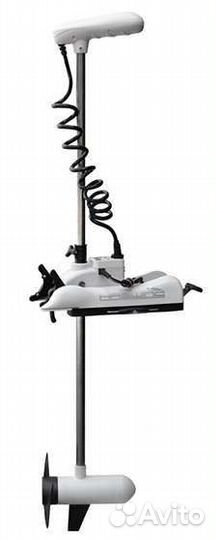 Haswing cayman B, 137 12v