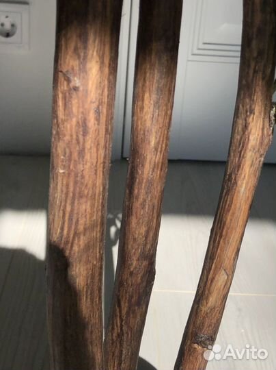 Шефлера искусственное растение