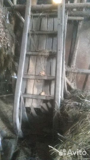 Сани, телега для лошади, хомут