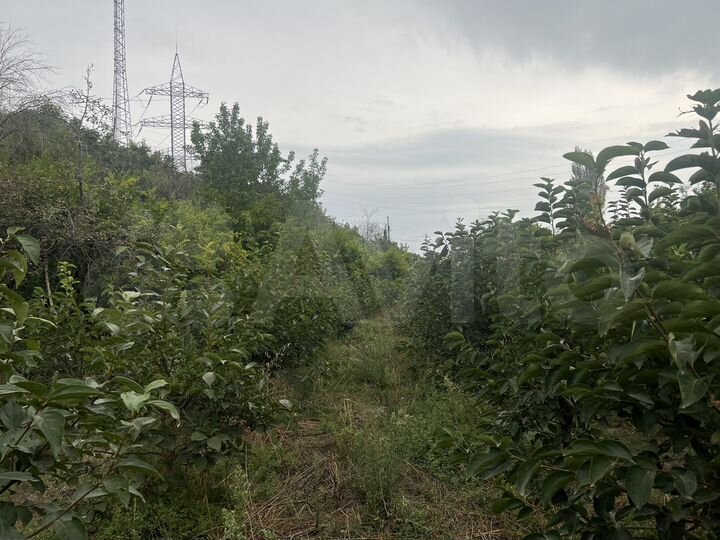 Участок 6,5 га (ИЖС)
