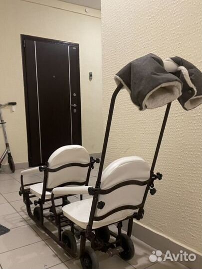 Сани для двойни