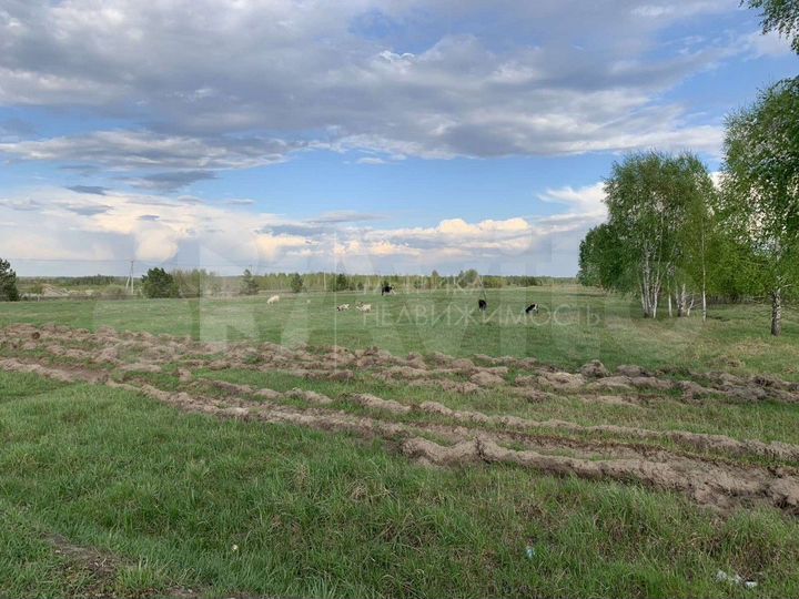 Участок 20 сот. (ИЖС)