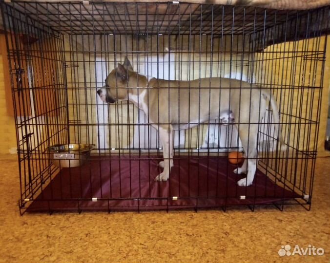 Клетка, вальер для животных
