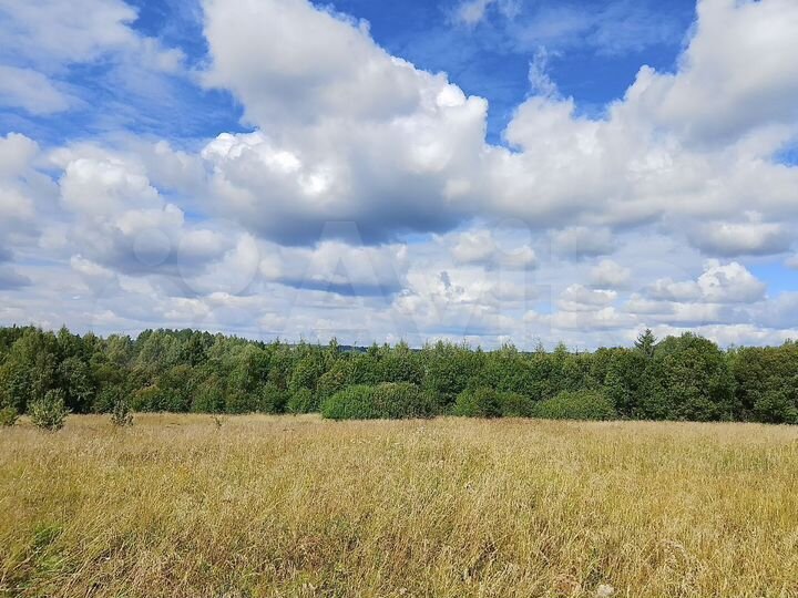 Участок 1,86 га (ИЖС)