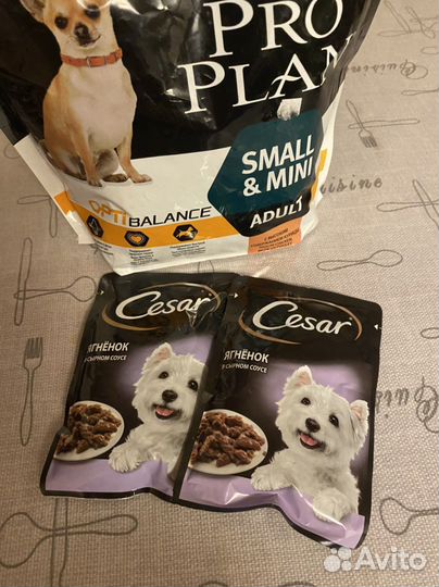 Про план Корм для собак