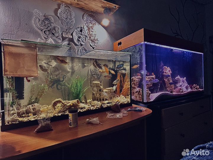 Аквариум