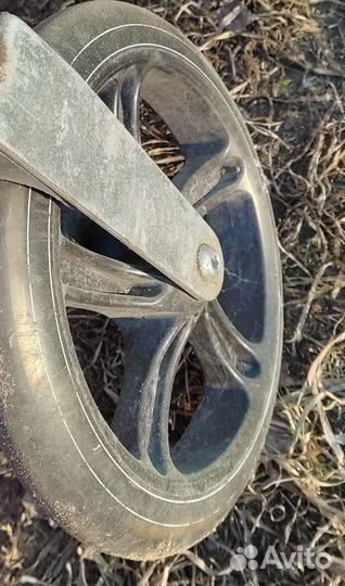 Самокат Shark