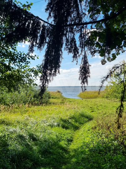 Участок 69,45 га (СНТ, ДНП)