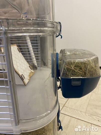 Продам клетку с хомяками