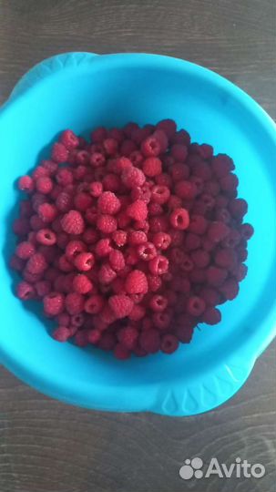 Малина кустики