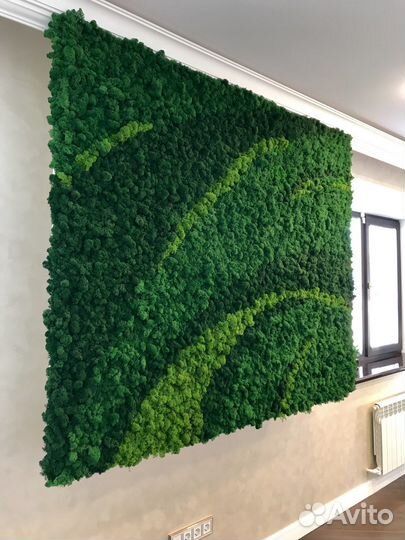 Стабилизированный мох