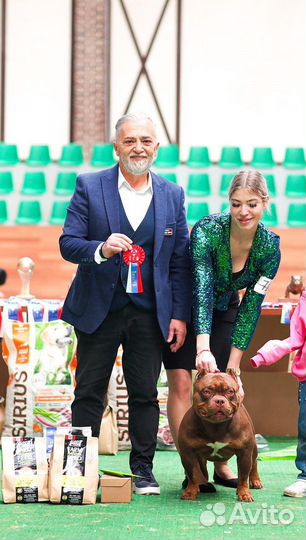 Профессиональный Хендлер / Кинолог / Хендлер