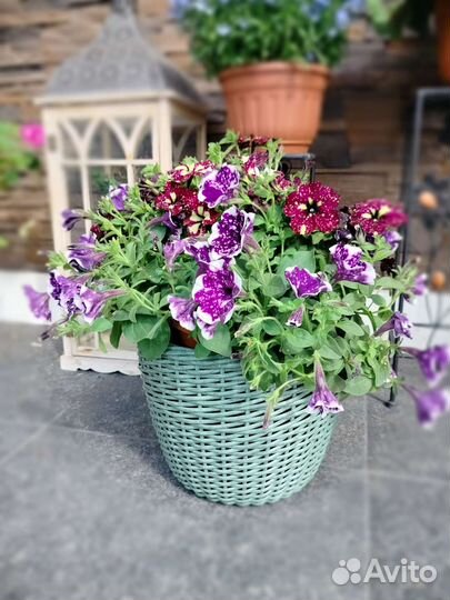 Кашпо плетёное 12 литров