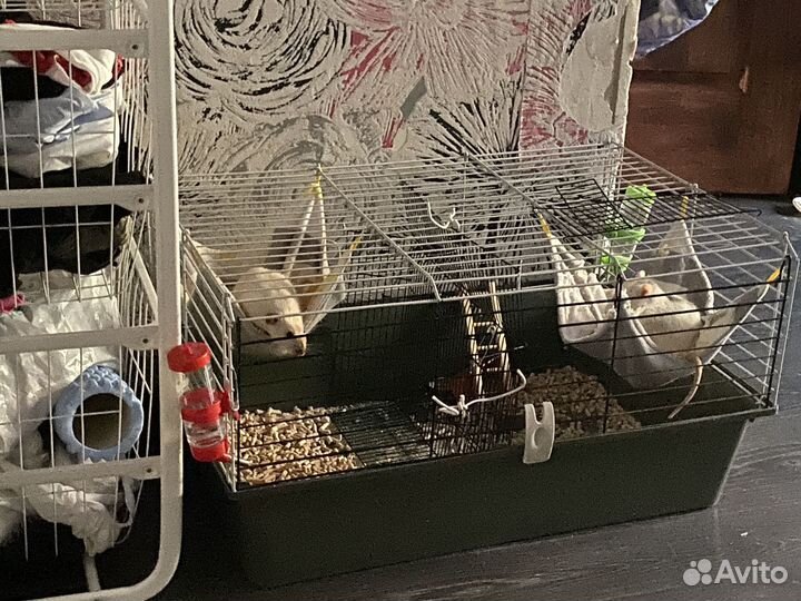 Клетка для грызунов