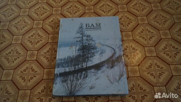 Бам продолжается. Фотоальбом. Предисловие В. Демин