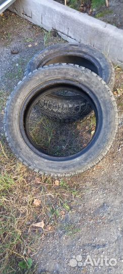 КАМА Кама-Евро-519 205/55 R16 95