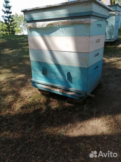 Ульи для пчел