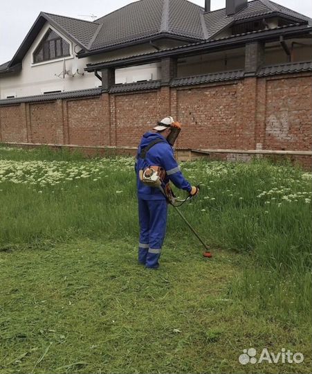 Благоустройство участка