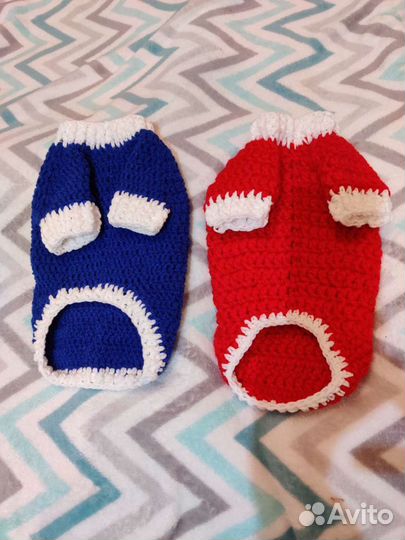 Одежда для питомца