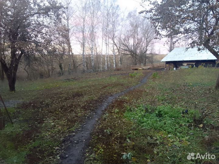 Бычки ферма дом 2 600 000