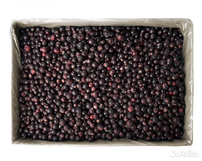 Черная смородина замороженная