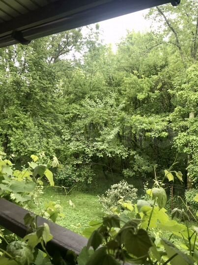 Дом 20 м² на участке 6 сот.