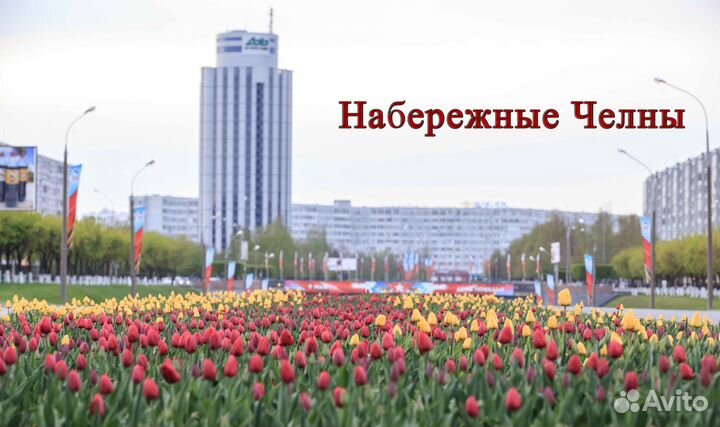 Свой человек в Набережных Челнах