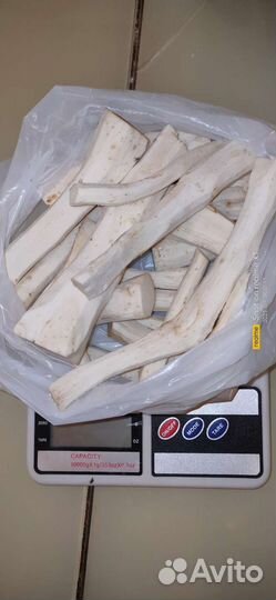 Корень хрена