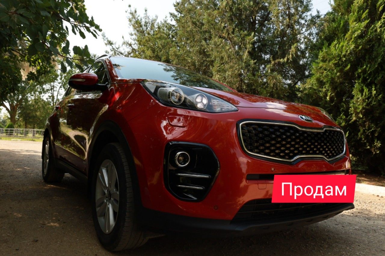 Kia Sportage: фото владельца