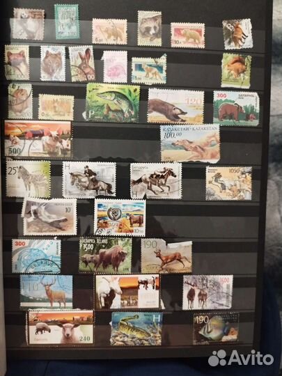 Почтовые марки(Россия, Беларусь, Казахстан)