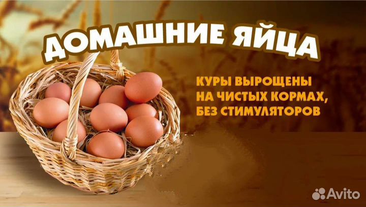 Домашние перепелиные и куриные яйца