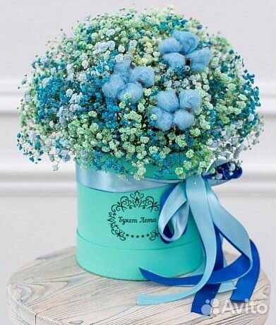 Цветы гипсофила