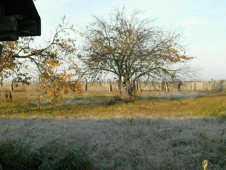 Дом 42 м² на участке 40 сот.