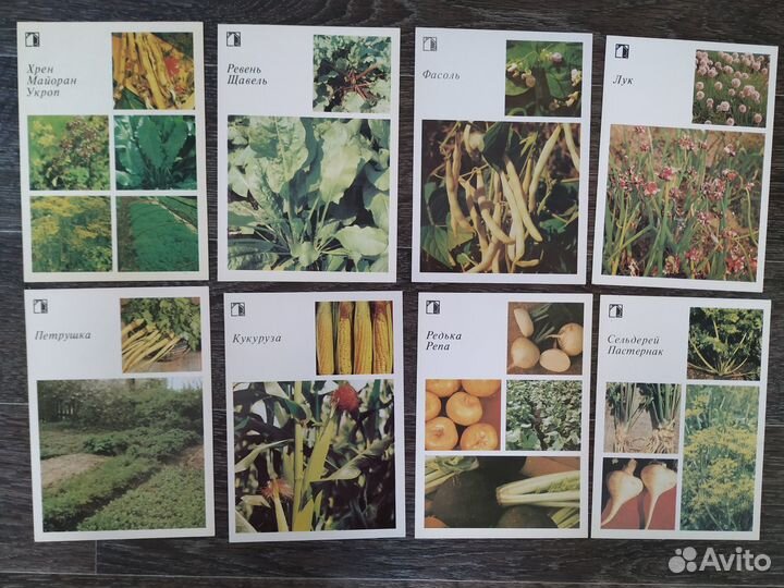 Книги и открытки СССР