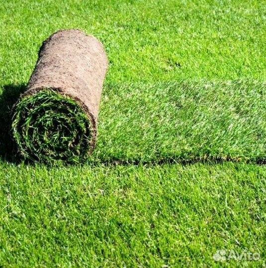 Гидропосев