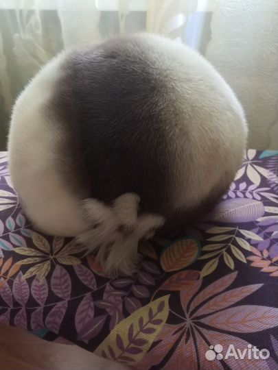 Шапка норковая женская